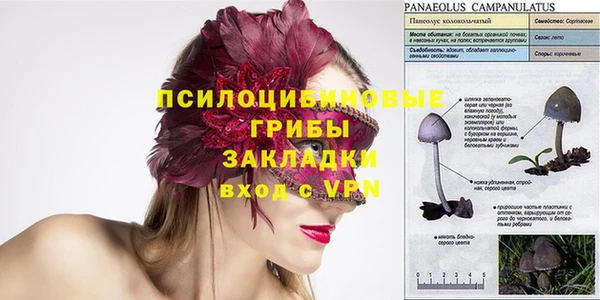 МДПВ Абинск
