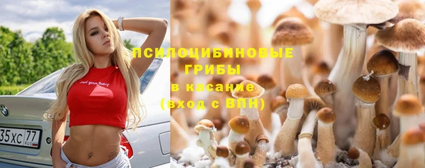 МДПВ Абинск