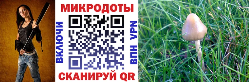 Псилоцибиновые грибы мухоморы  darknet наркотические препараты  Дубна 